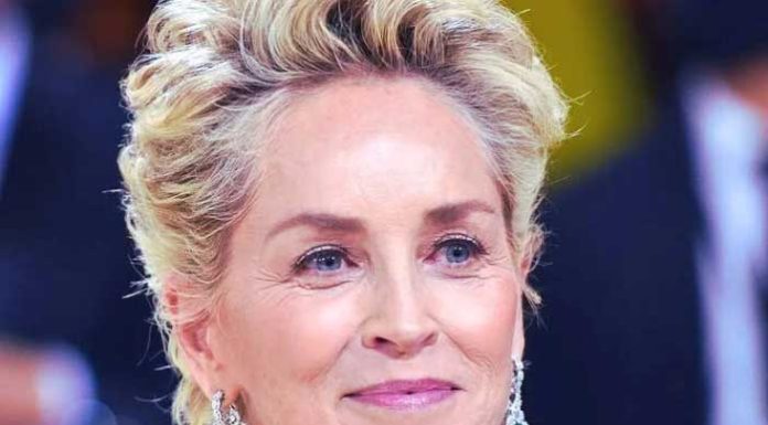Sharon Stone Hair Her Iconic Looks from Hollywood Classics +15 More Glamorous Facts Sharon Stone Hair